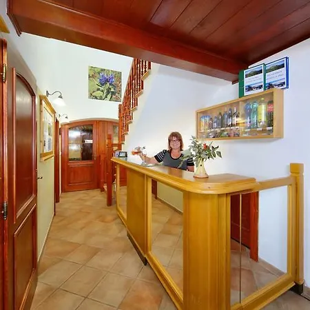 Vila Anicka Spindleruv Mlyn