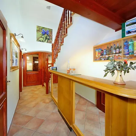 Guest house Vila Anicka